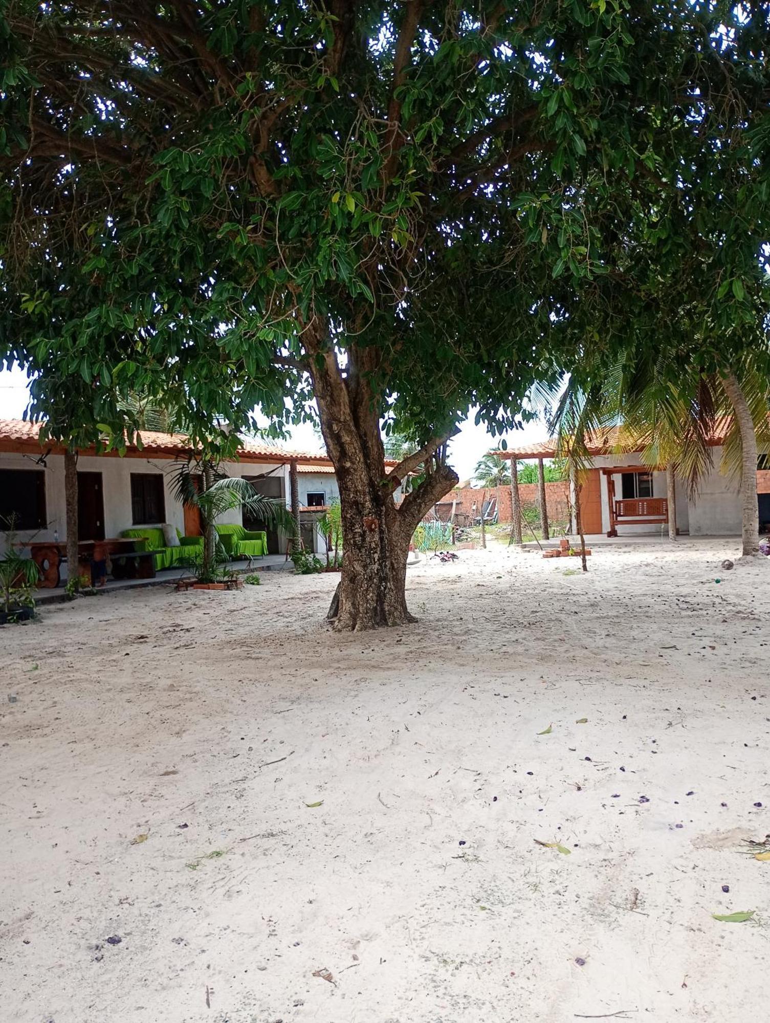 Pousada Shalom E Hostel Holly Land Santo Amaro do Maranhao Bagian luar foto